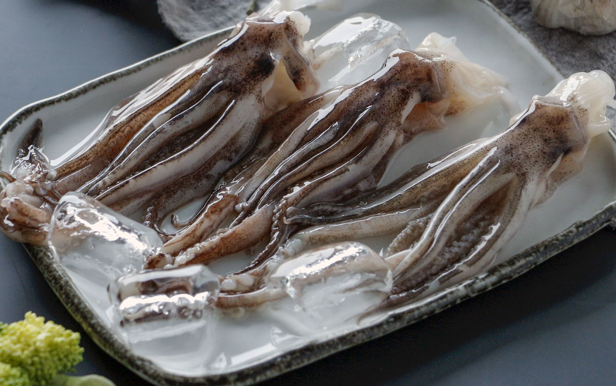 飛機(jī)魷魚(yú)頭